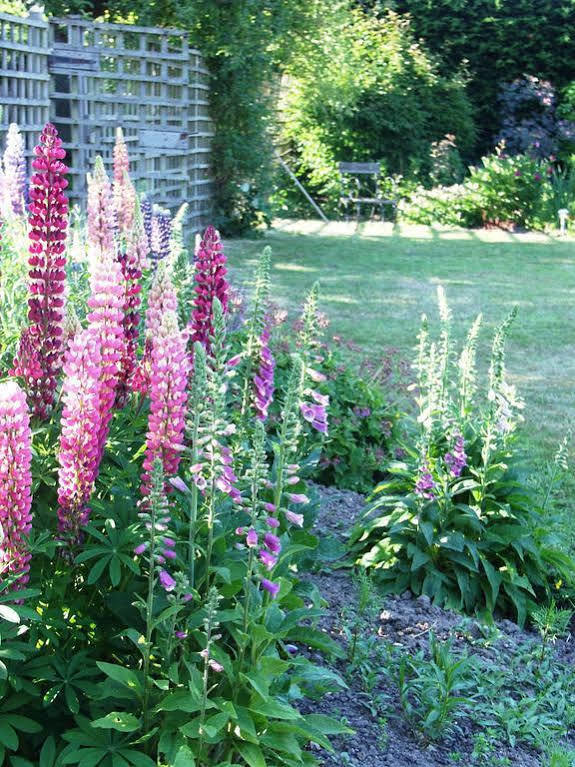 Catton Old Hall Bed and Breakfast Norwich Esterno foto